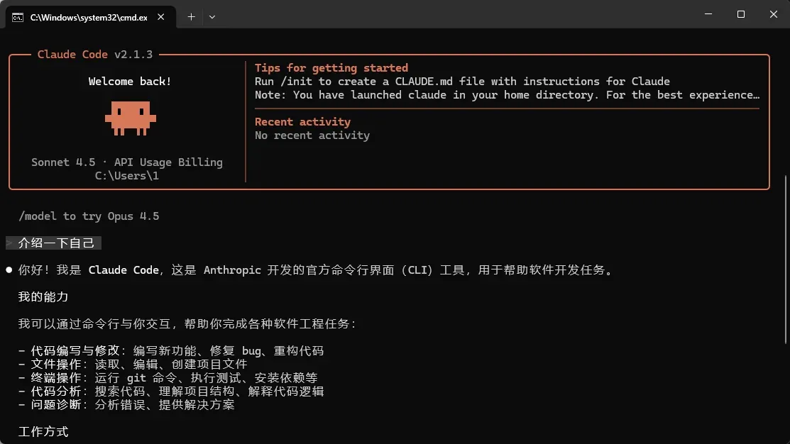 Claude Code status 命令显示的模型状态